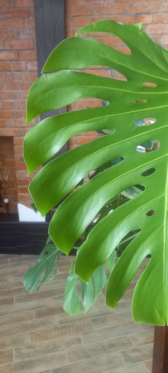 Гостиница Башня Брянск-12